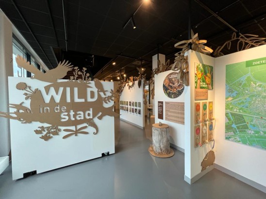 Wild+in+de+stad+7